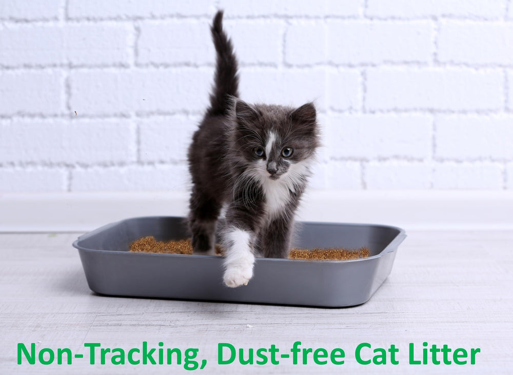Coir Wonder biodegradable eco-friendly litter highlights plant-based, fragrance-free option