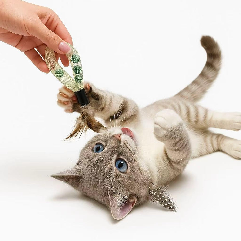 Coivnl bells and catnip invite focus, pounces, and joyful activity