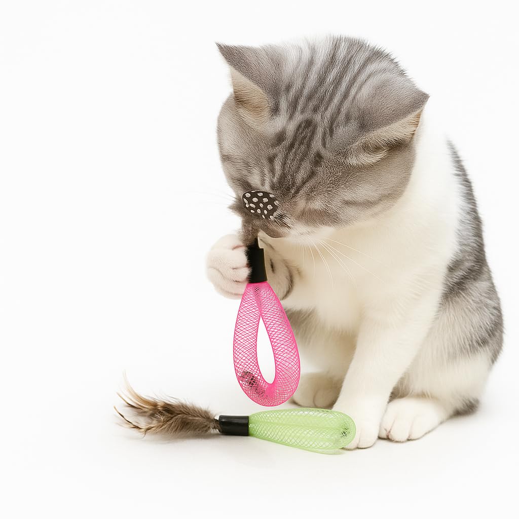 Coivnl colorful packaging makes a ready-made gift for cat lovers