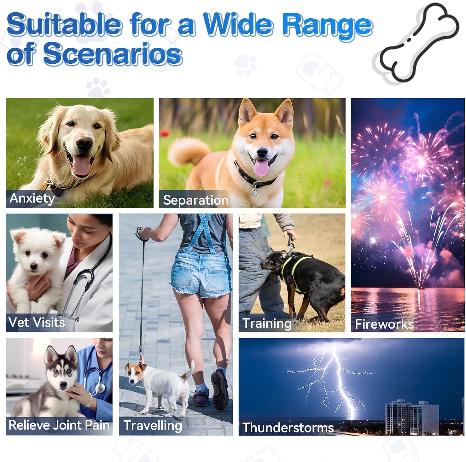ColEaze Calming Chews during car ride suggesting easing anxiety for dogs