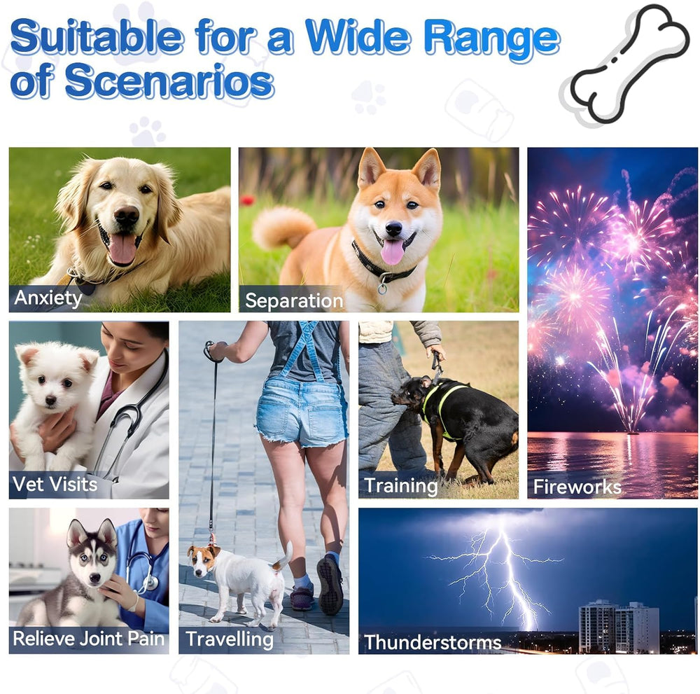 ColEaze Calming Chews during car ride suggesting easing anxiety for dogs
