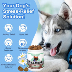 ColEaze Calming Chews on couch with relaxed dog conveying post-stress calm
