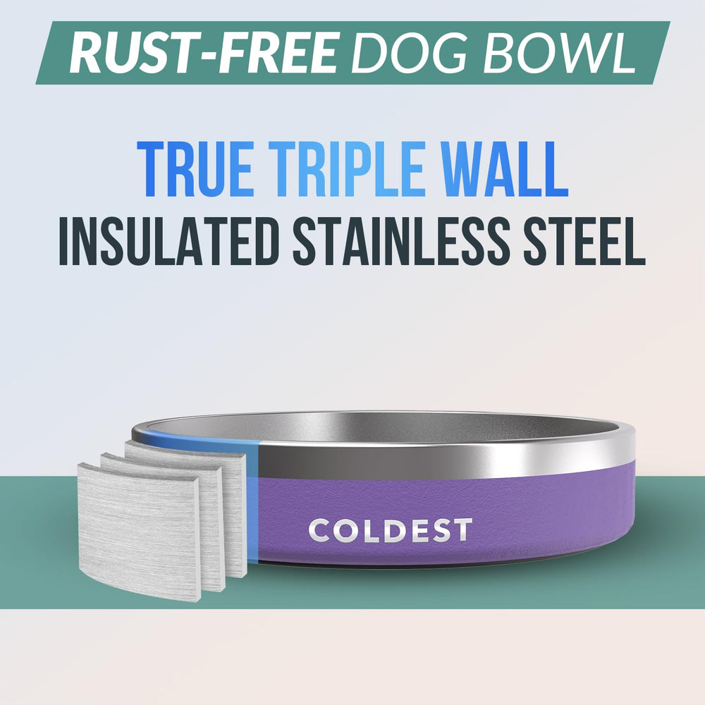 Coldest Water dog bowl anti-slip base keeps feeding area clean.
