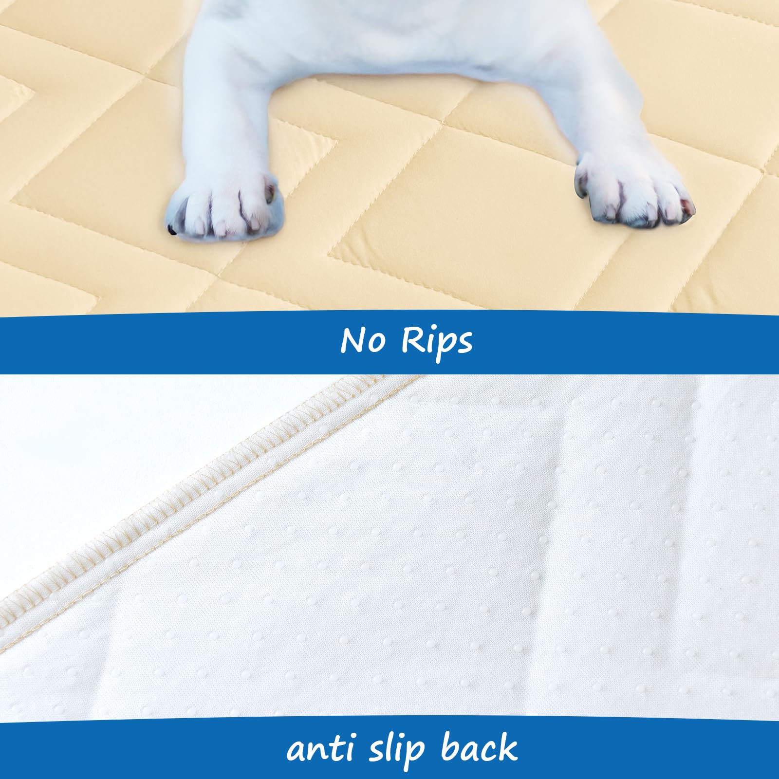 Coldwind easy-care washable dog blanket, simple to clean after adventures.