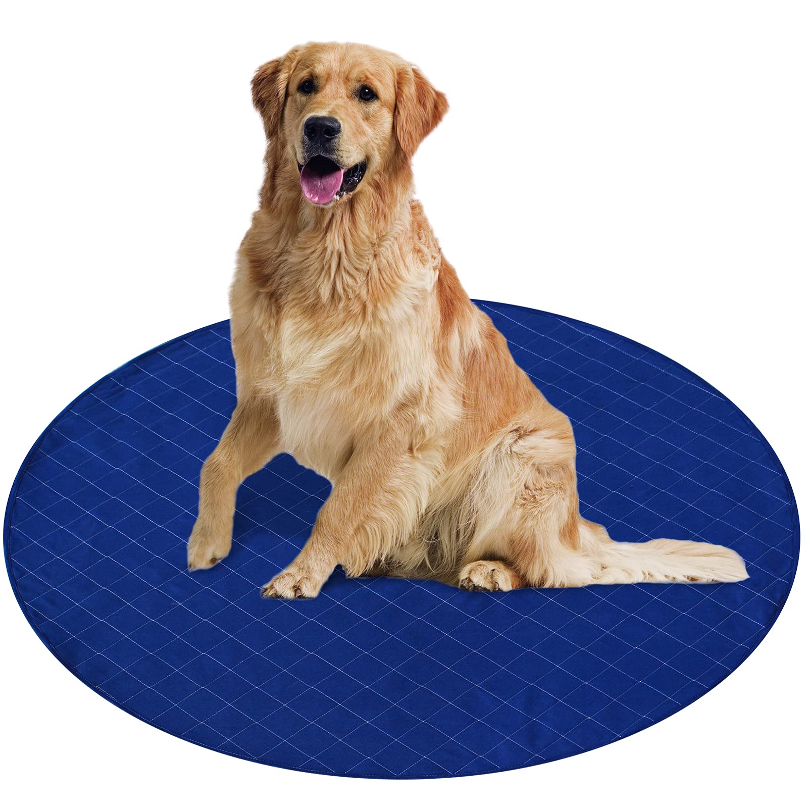 Coldwind Washable Pee Pad Round 48x48 soft polyester surface for comfortable training sessions.
