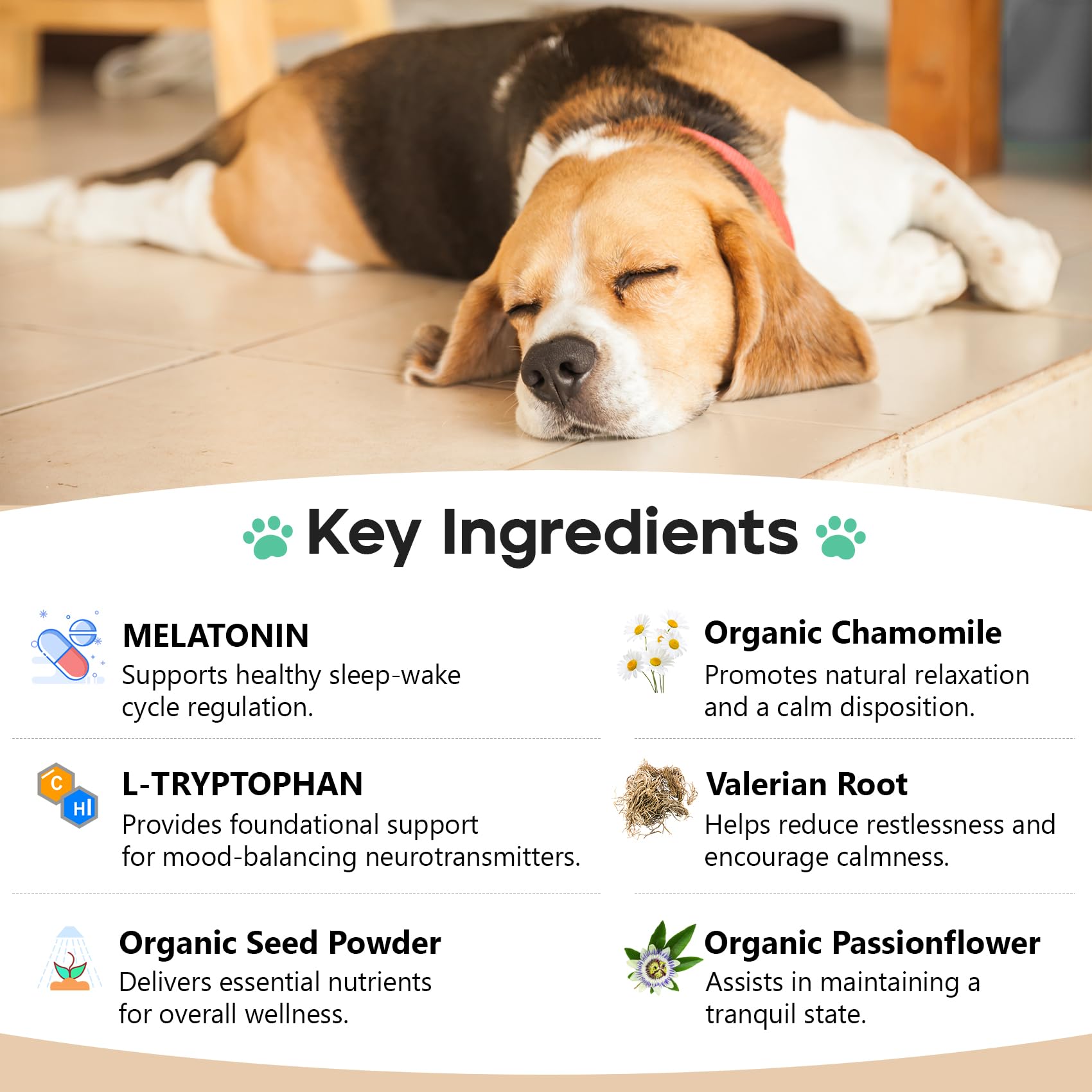 ColEaze calming chews shown during car rides for travel stress.