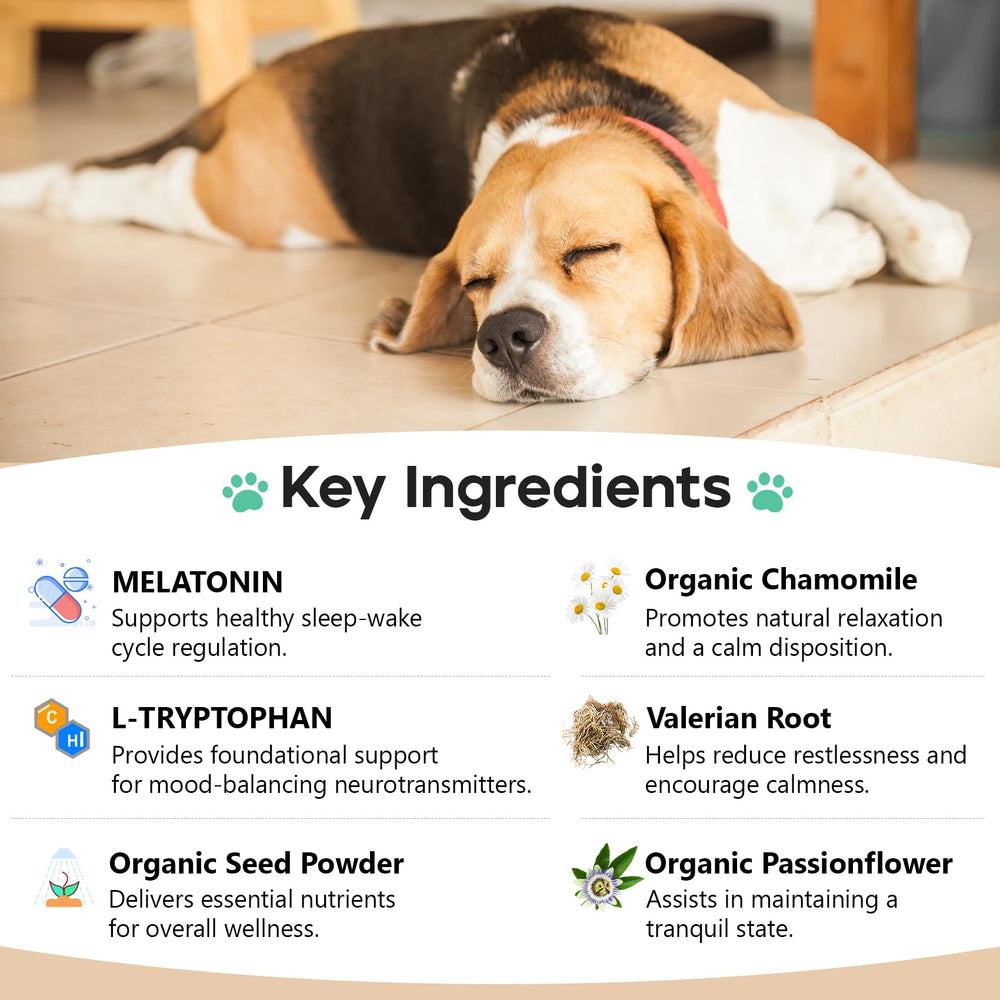 ColEaze calming chews shown during car rides for travel stress.