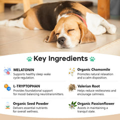 ColEaze calming chews shown during car rides for travel stress.