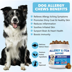 ColEaze Dog Allergy Chews bottle label shows coat health and immune support