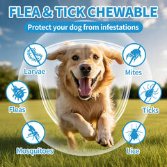 ColEaze flea and tick chews soft treats dogs love