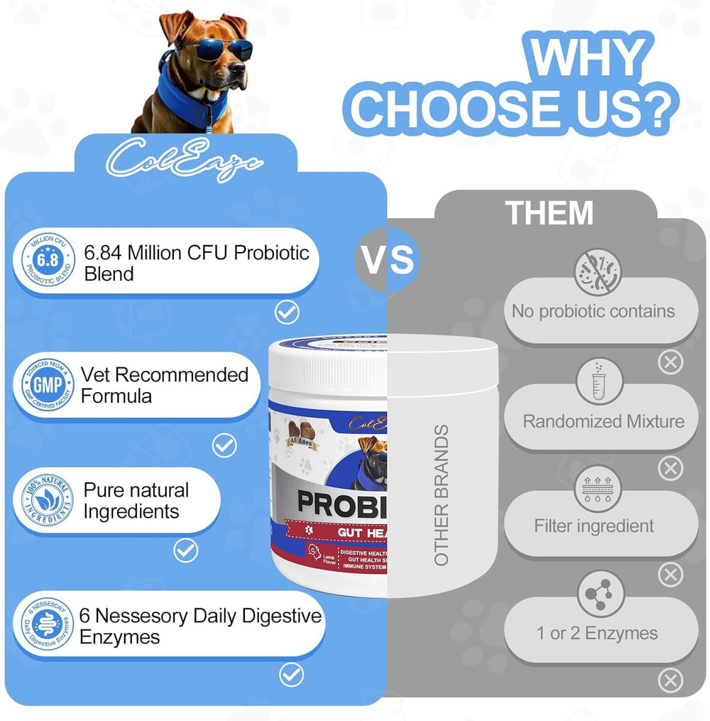ColEaze Probiotics for Dogs Chews dog enjoying a tasty lamb-flavored bite.