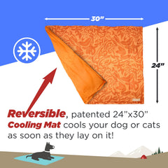 Coleman reversible orange-side mat offers quick style changes and outdoor-ready portability.