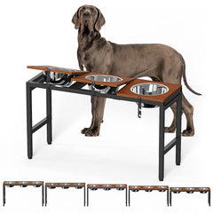 Colewin elevated dog bowls assembly instructions ensure quick setup