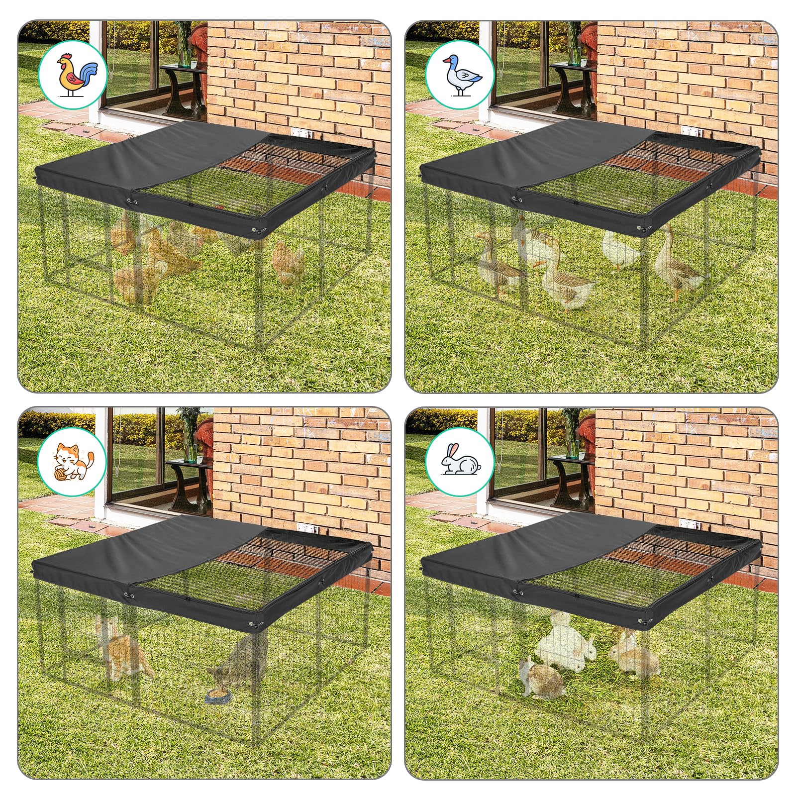 Colewin indoors-outdoors versatility fits patios yards or living rooms