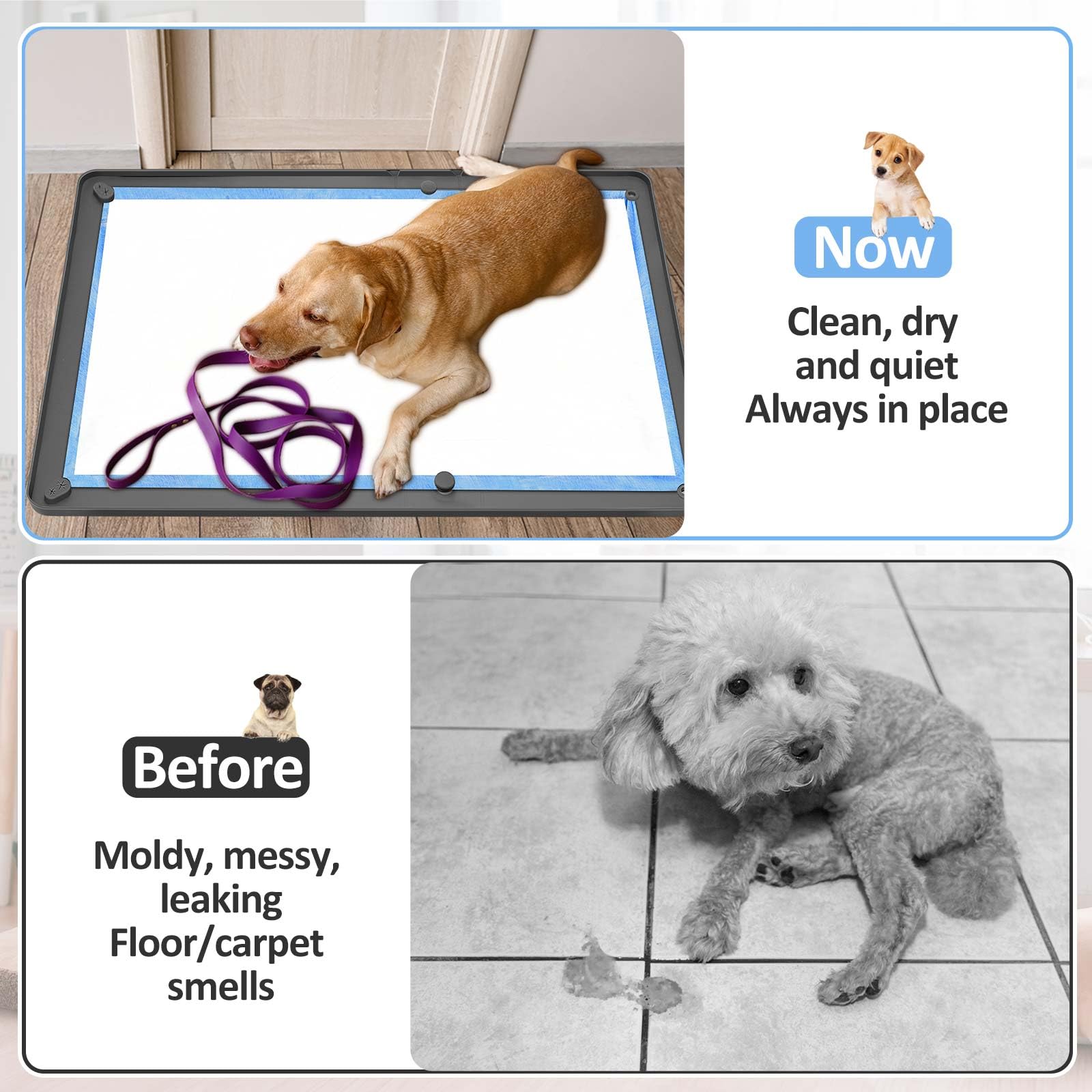 Colingmill dog pee pad holder two-height levels cater to male or female dogs.