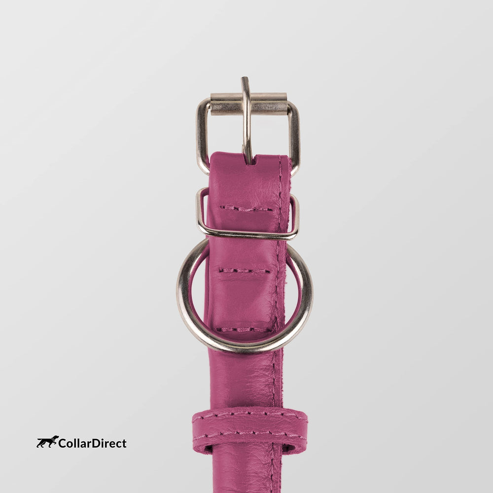 CollarDirect 13-color collection offers thoughtful color pairing for outfits.