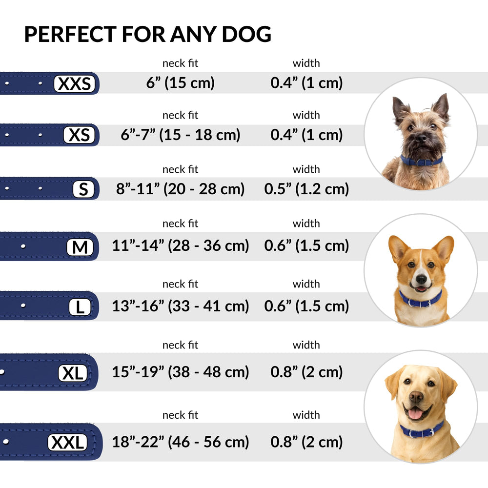 CollarDirect 13-color options Deep Blue Smooth demonstrates stylish versatility for pets