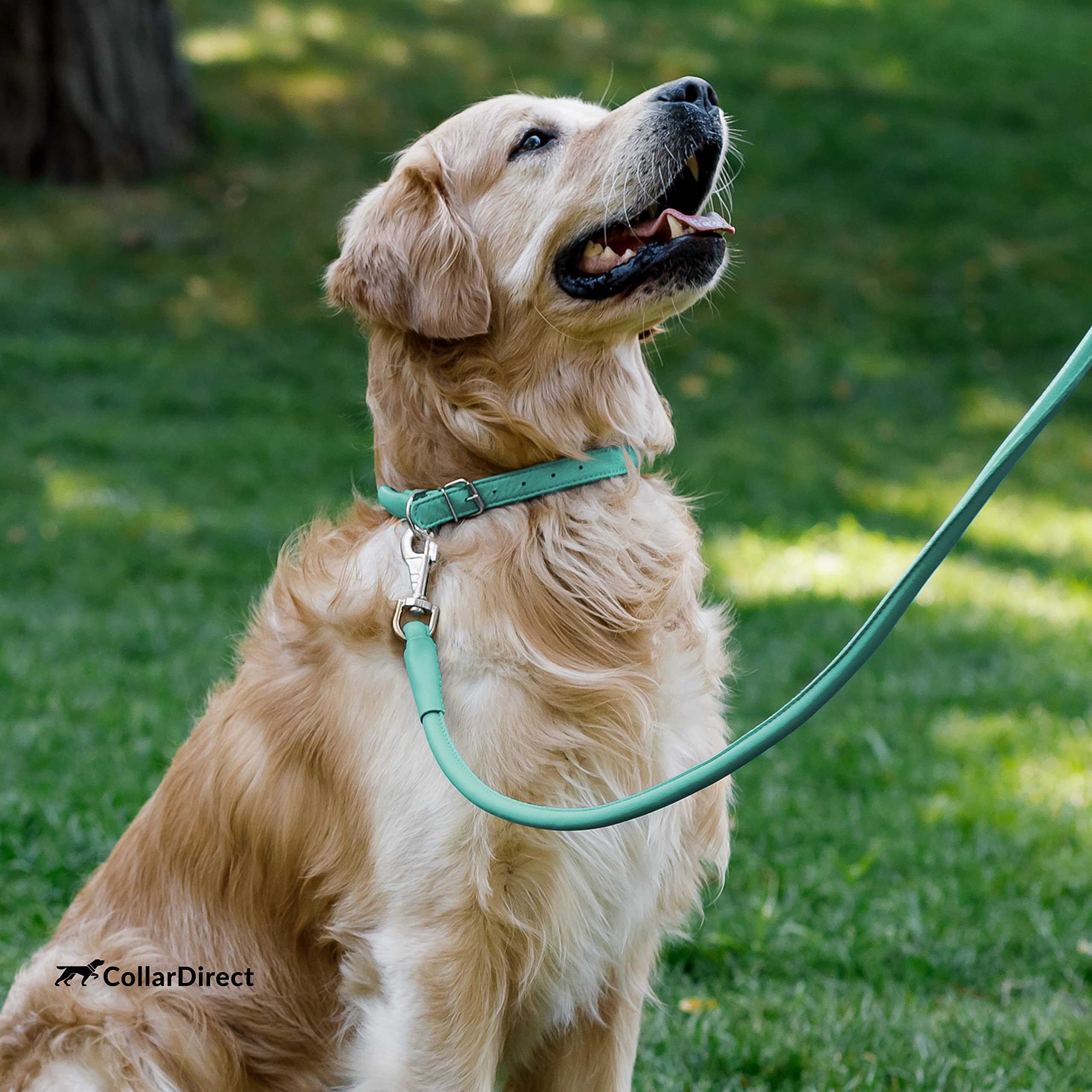 CollarDirect 13 color options celebrate your pup’s personality.