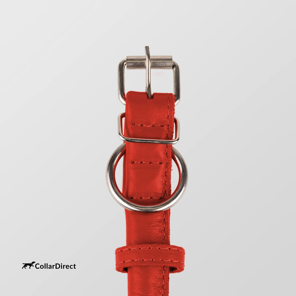 CollarDirect adventure-ready collar withstands outdoor mud and creek crossings.
