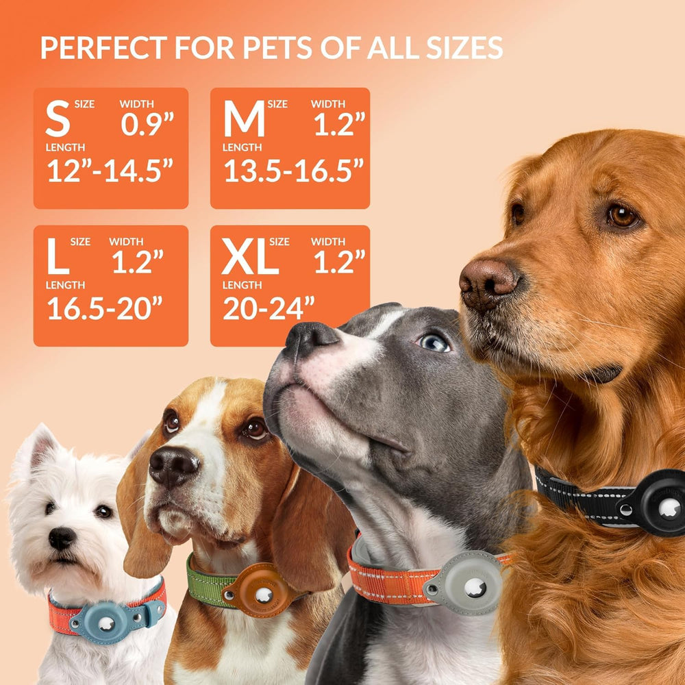 CollarDirect AirTag collar with reflective stitching boosts nighttime visibility and safety
