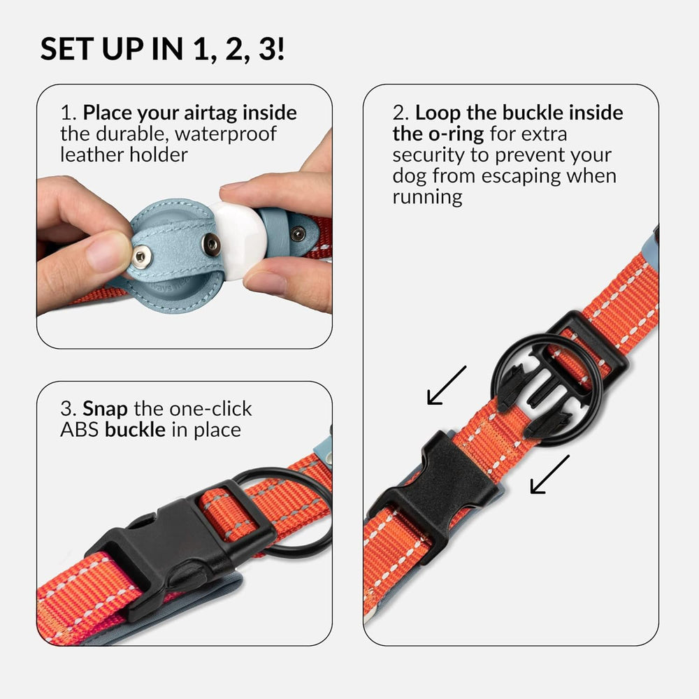 CollarDirect Airtag dog collar adjustable sizes S-XL fit a range of breeds.