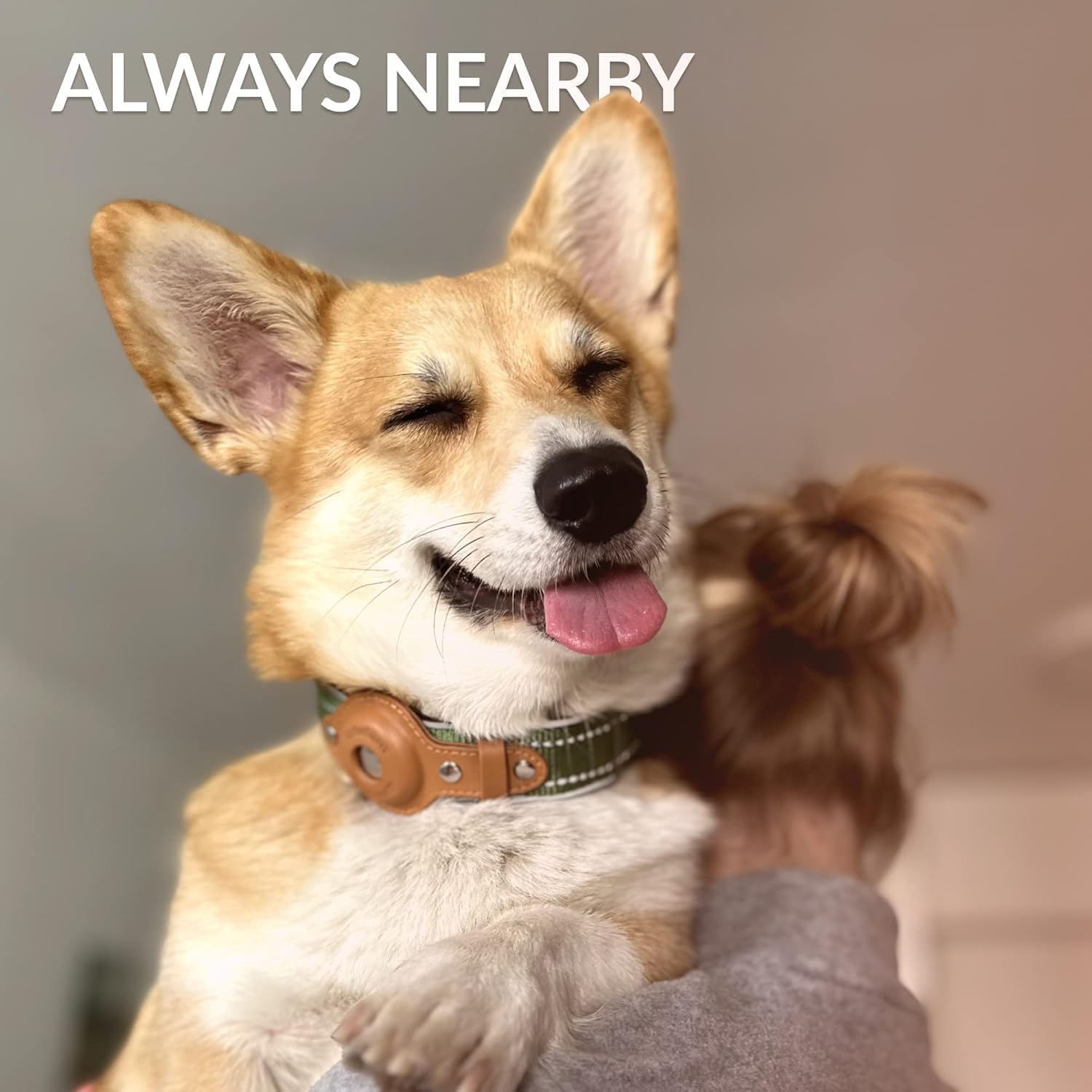 CollarDirect Airtag collar sizes from S to XL fit multiple breeds