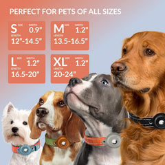 CollarDirect Airtag dog collar closeup highlights leather holder and neoprene lining for comfort.