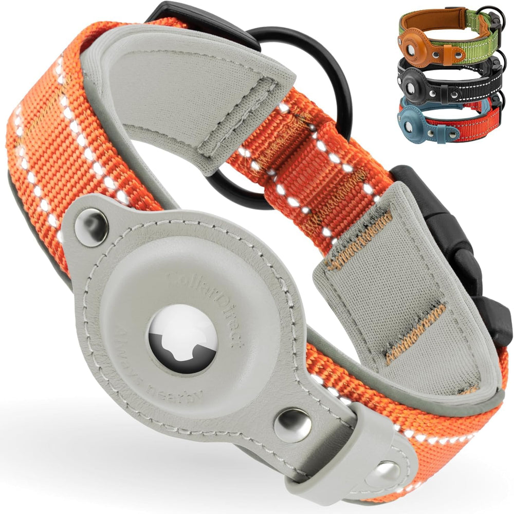 CollarDirect AirTag dog collar orange strap keeps pets locatable during outdoor adventures