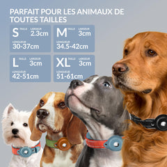 CollarDirect AirTag dog collar with reflective stitching for safer nighttime walks.
