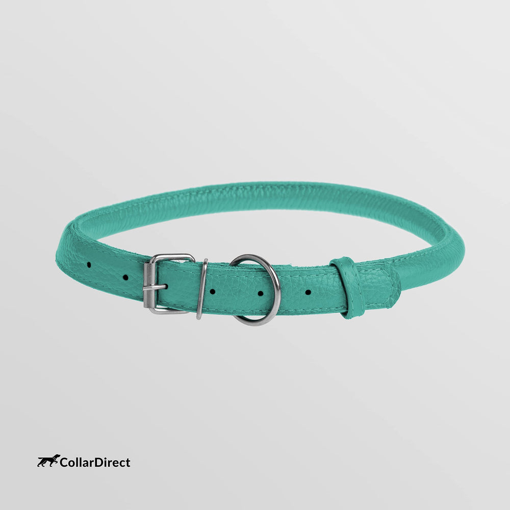 CollarDirect mint green color option adds pup personality.