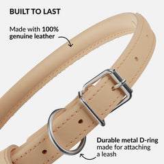 CollarDirect beige-smooth dog collar on a puppy emphasizing comfort.