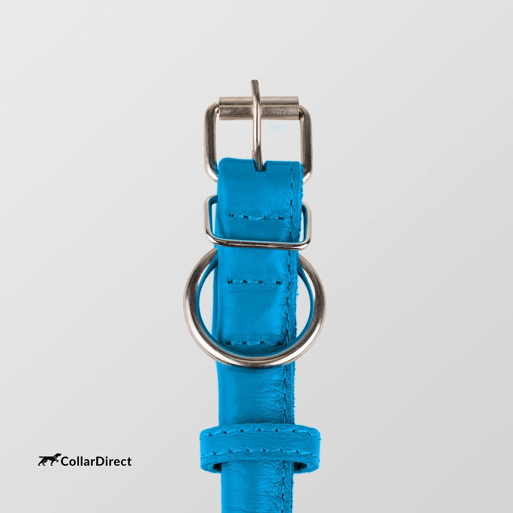 CollarDirect trusted brand since 2014 with 600k+ customers