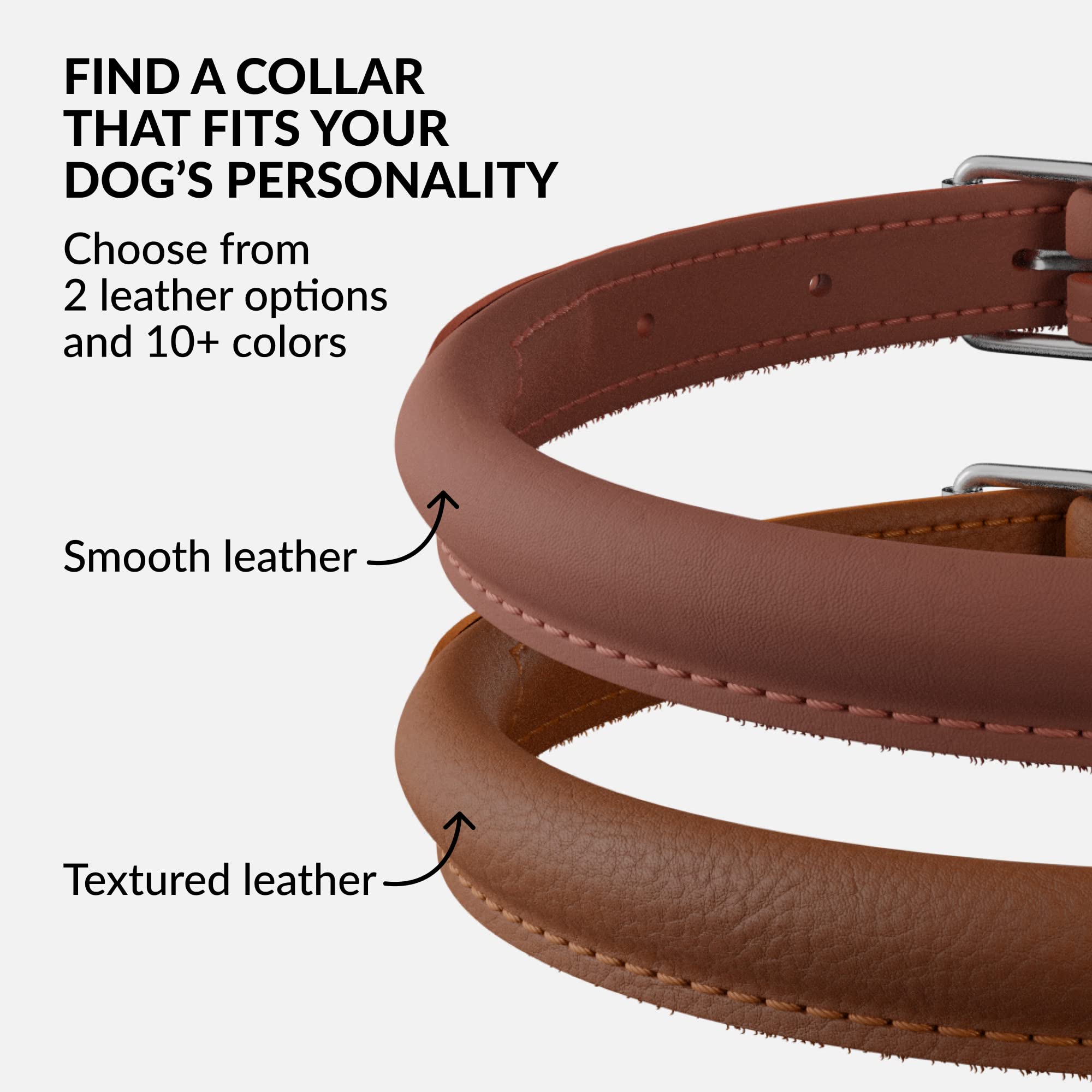 CollarDirect cat collar and dog collar worn in a multi-pet setup
