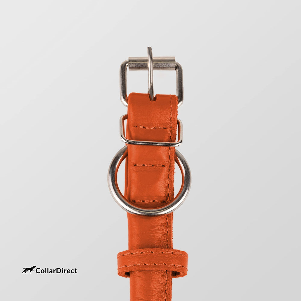 CollarDirect cat-dog collar set promotes coordinated style and shared comfort