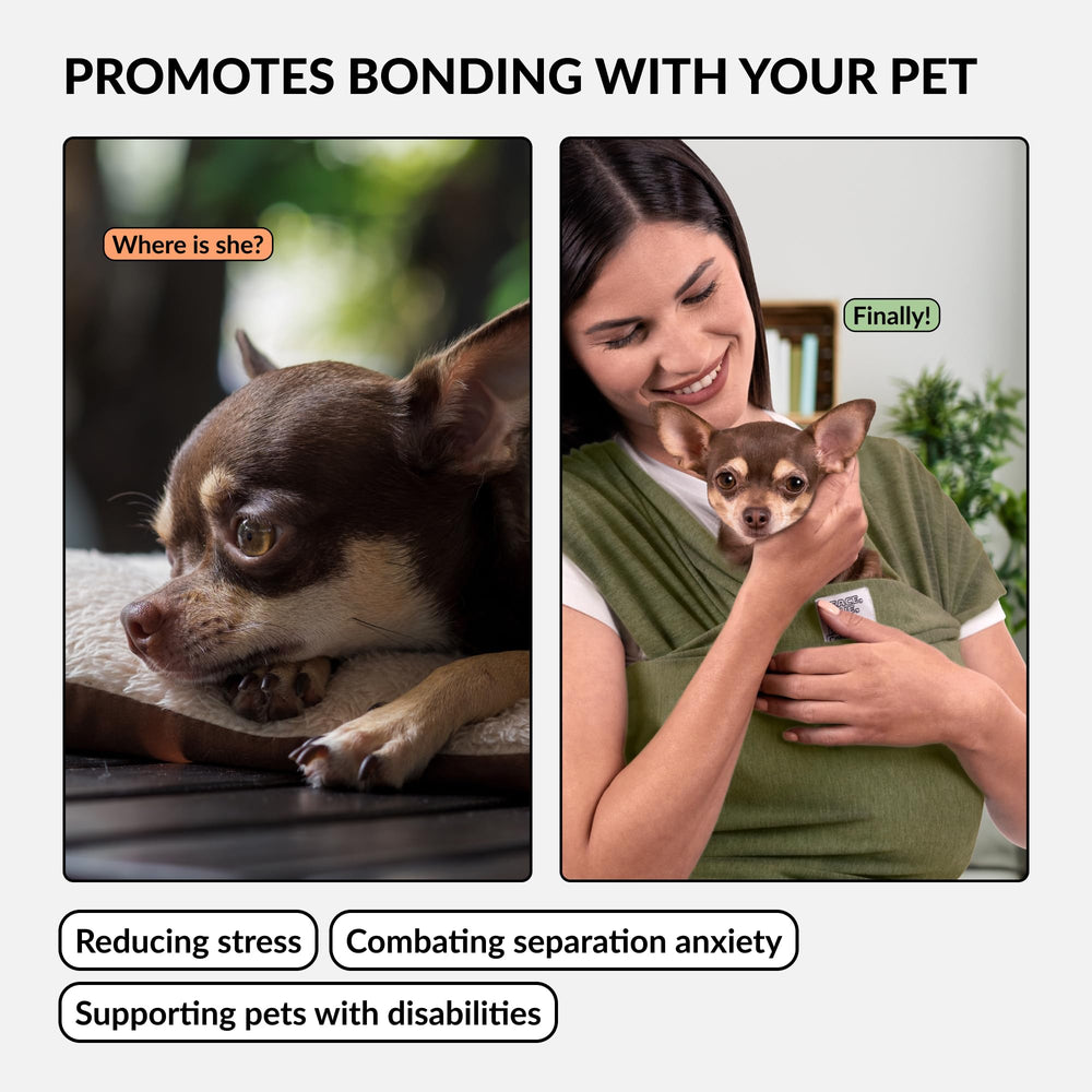 CollarDirect cat-sling-use demonstrates versatile wear for cats and dogs.