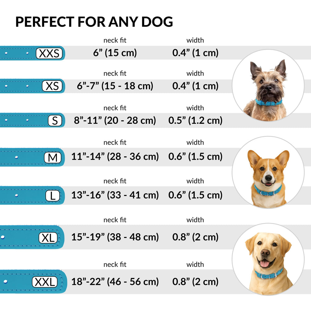 CollarDirect collar cuero enrollado para gatos, ajuste suave