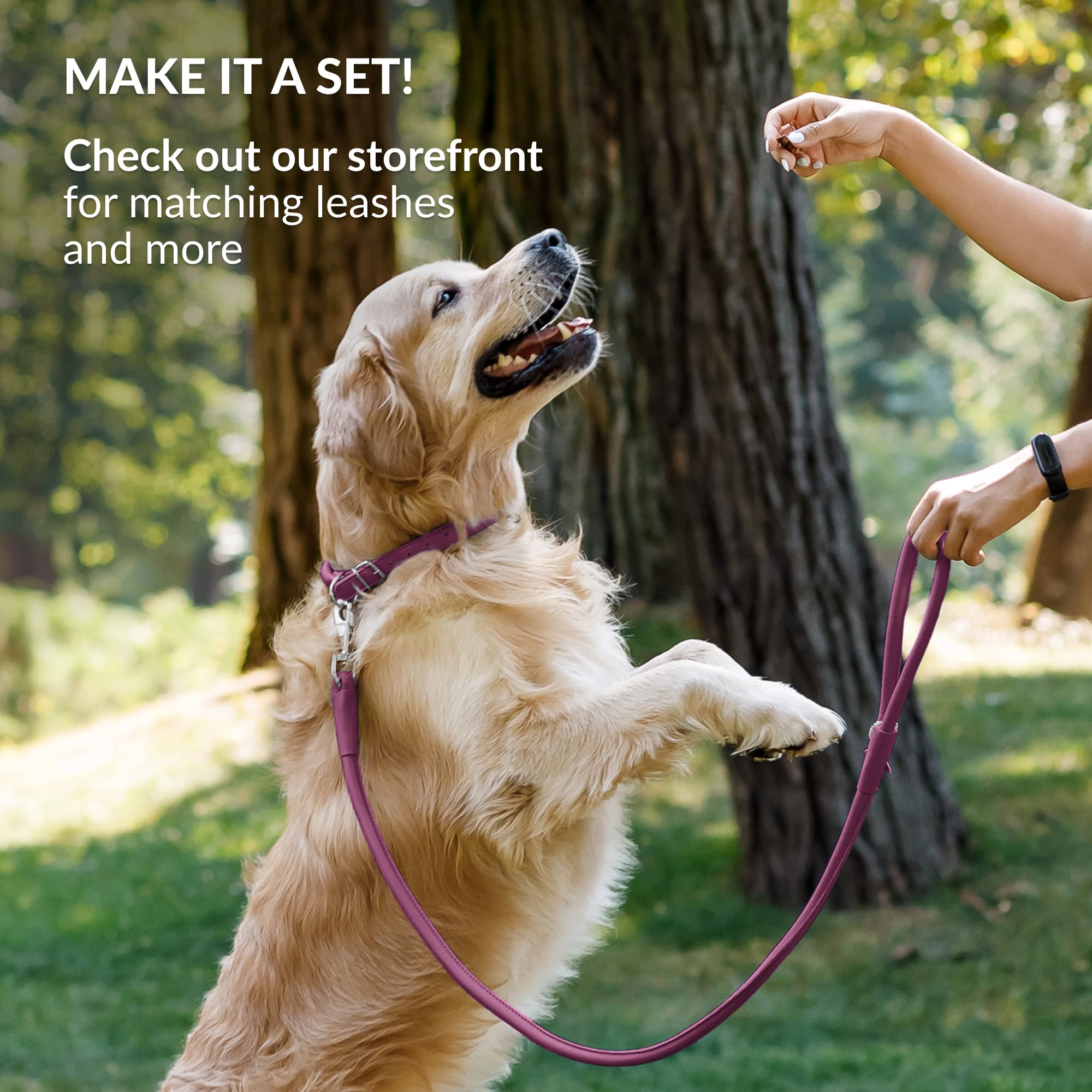 CollarDirect collar de cuero para gatos y perros, uso diario cómodo
