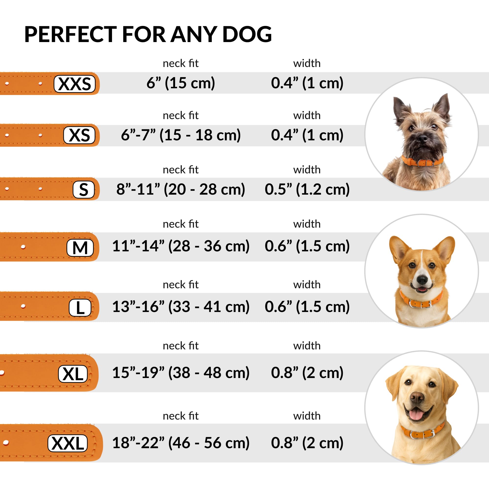 CollarDirect para perro y gato 8-11 pulgadas, ajuste cómodo