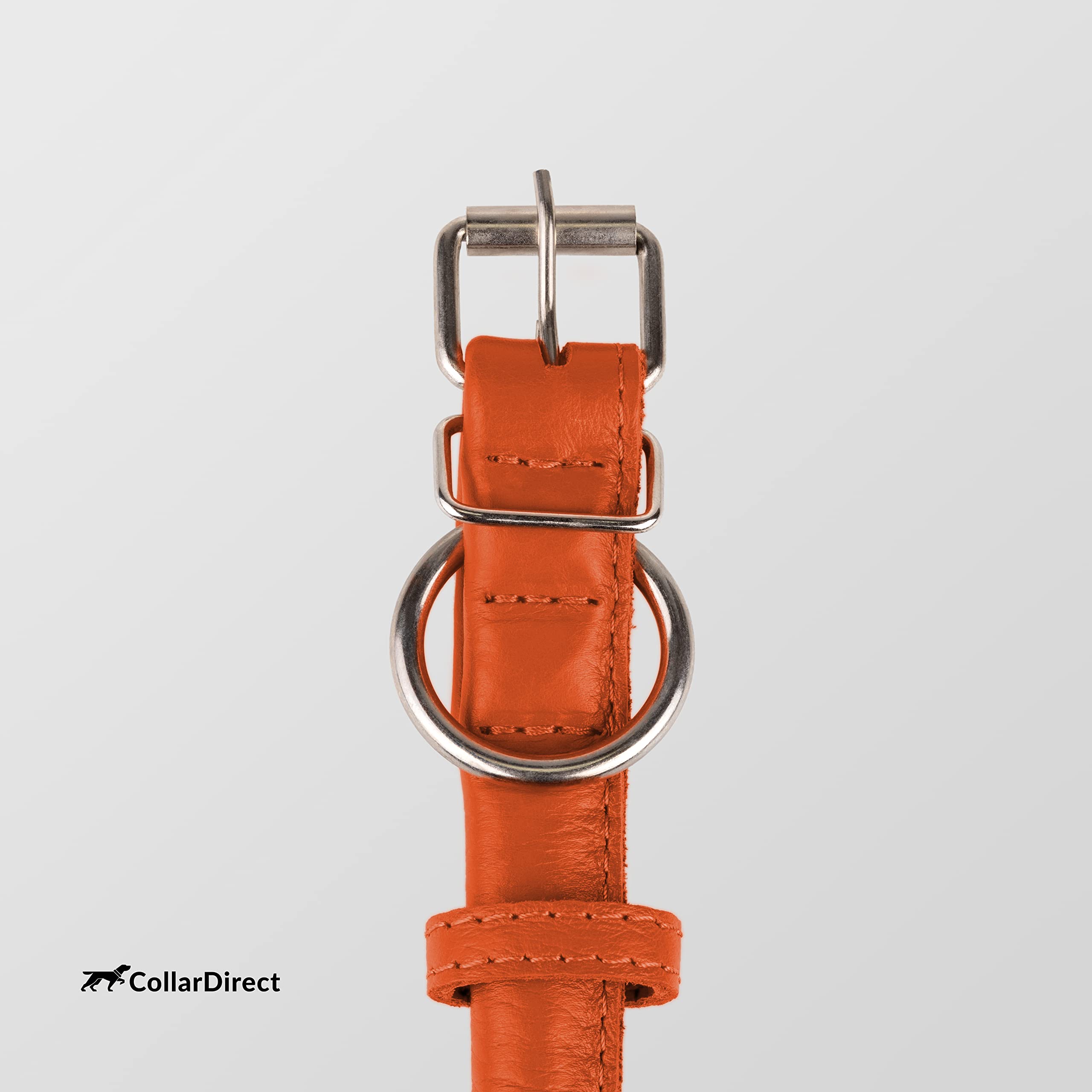 CollarDirect para perro y gato, conjunto a juego entre mascotas