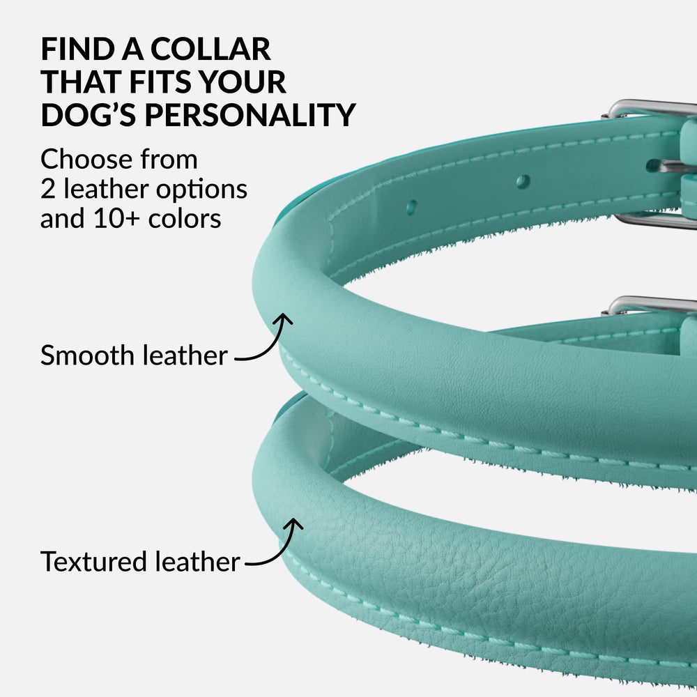 CollarDirect: collar fácil de limpiar tras aventuras con lodo o agua.