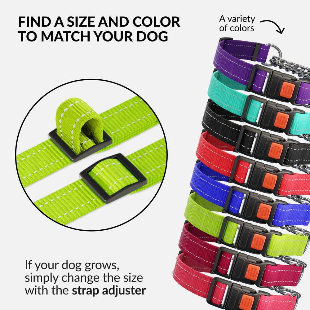 CollarDirect Martingale con cadena de acero, duradero para perros activos.