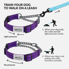 CollarDirect Martingale con cadena de acero inoxidable para paseos seguros.