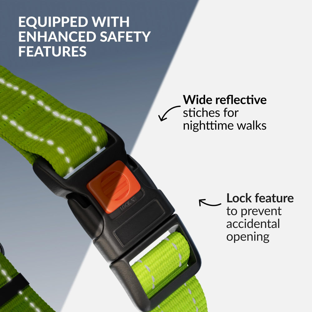 CollarDirect Martingale con detalle de costuras reflectivas para mayor visibilidad.