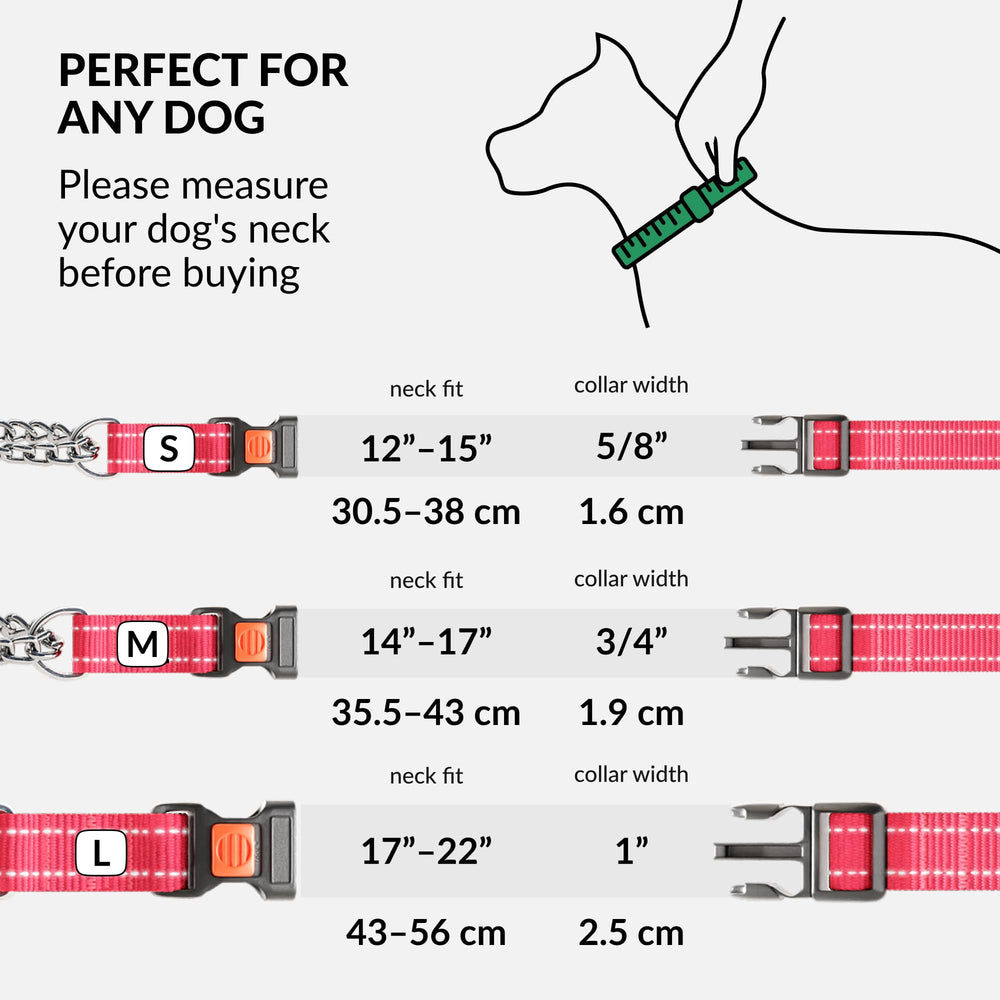 CollarDirect Martingale nylon resistente para entrenamiento diario en rosa