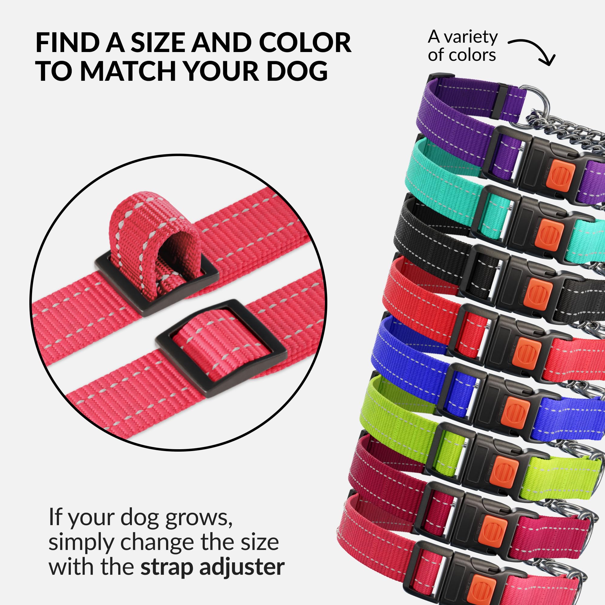 CollarDirect Martingale para paseos nocturnos en rosa con visibilidad mejorada