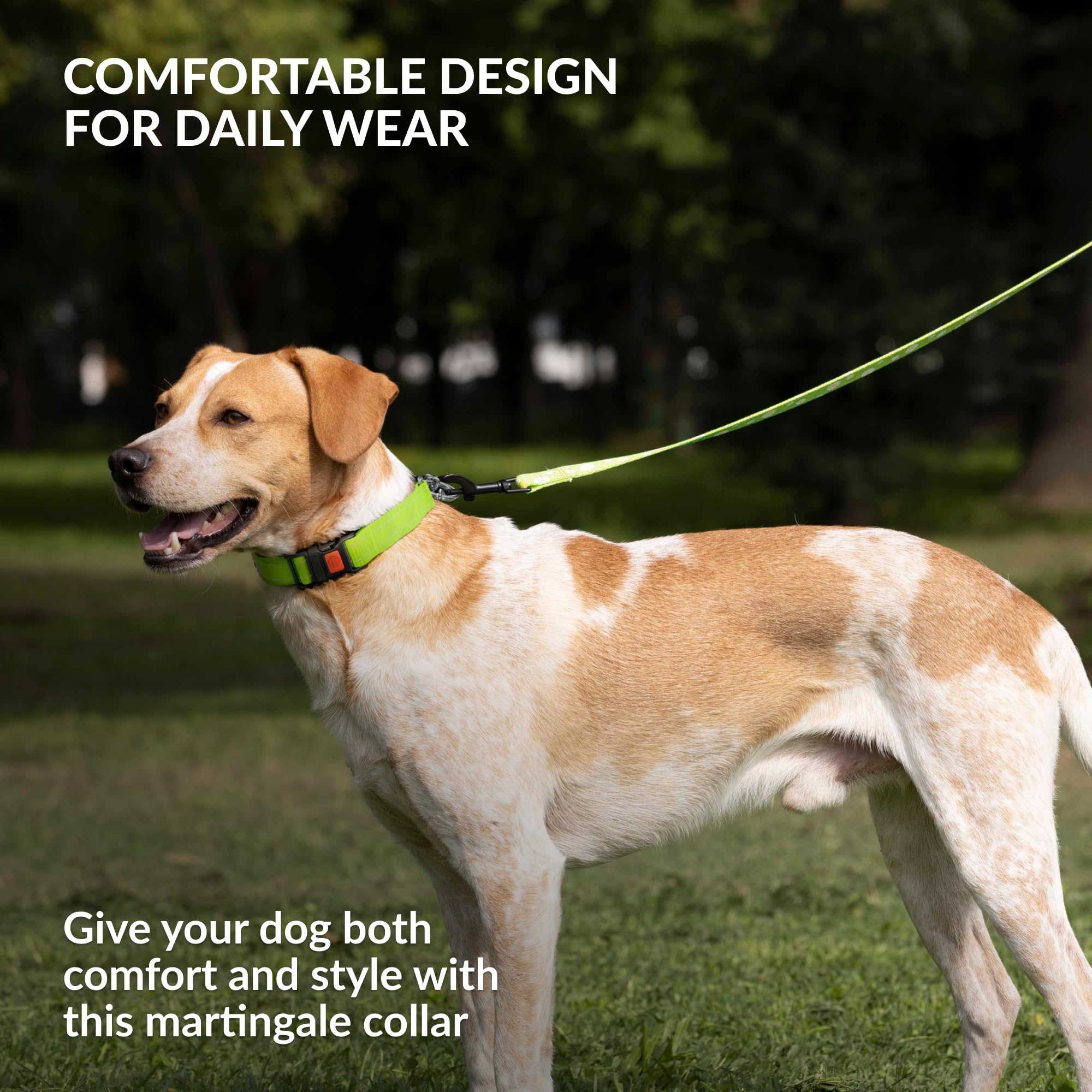 CollarDirect Martingale talla 12-15 pulgadas para perros pequeños.