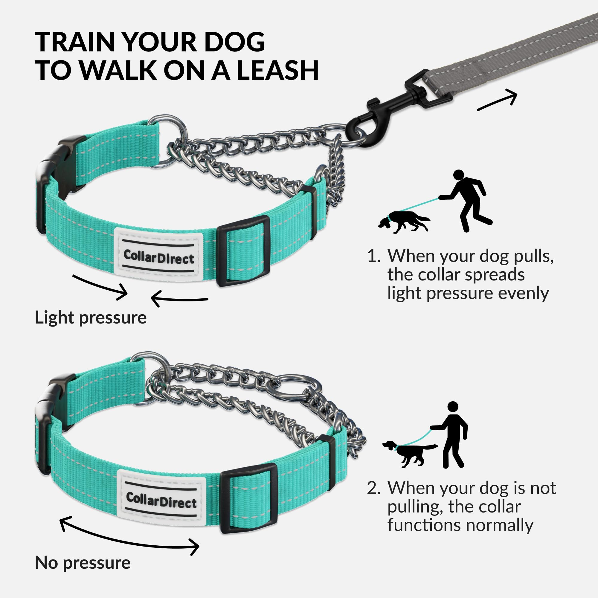 CollarDirect Martingale color verde menta para perros pequeños