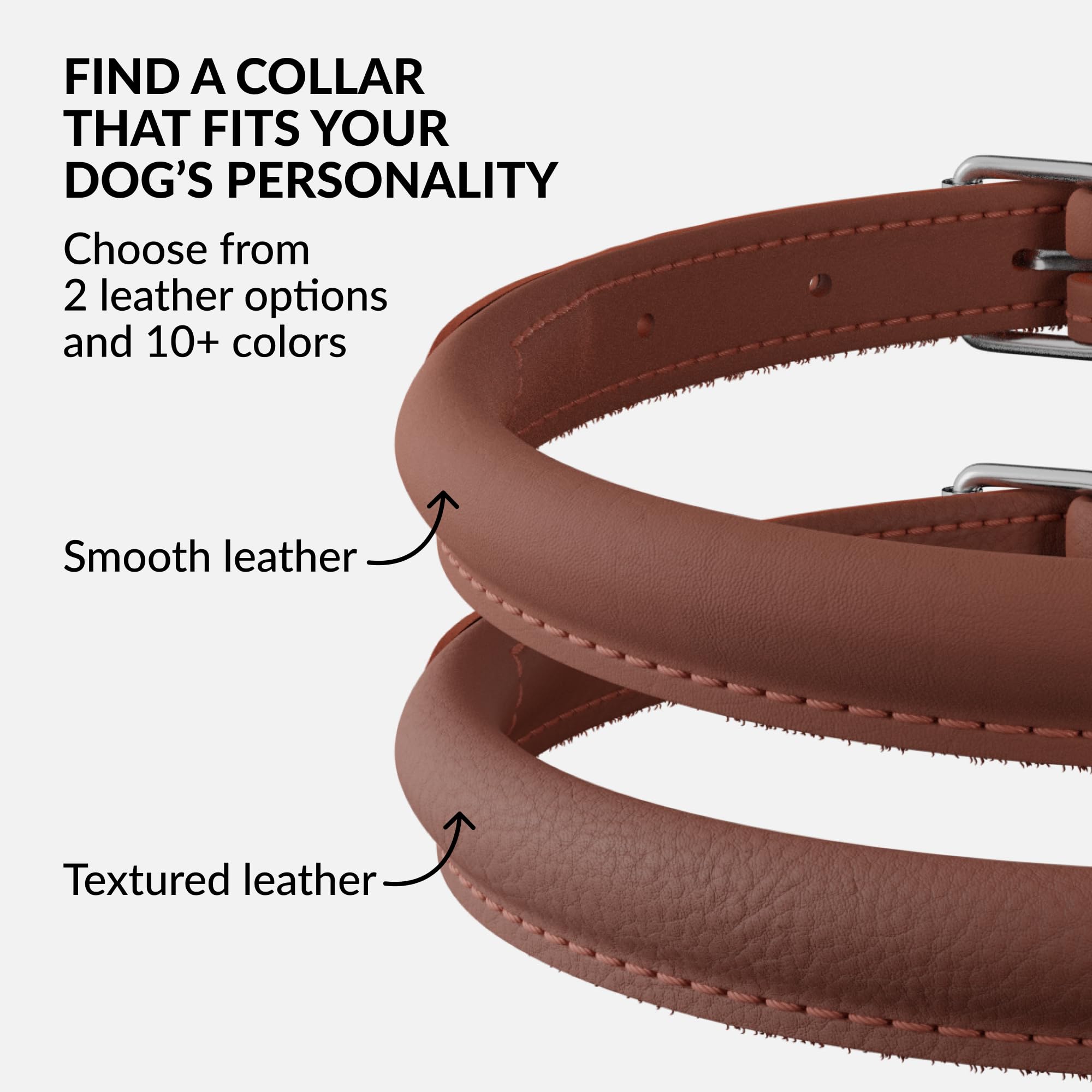 CollarDirect color options leather dog collar offers multiple hues to match your pup’s personality