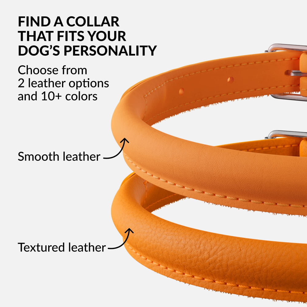 CollarDirect color-variety leather collar options highlight customization for pets.