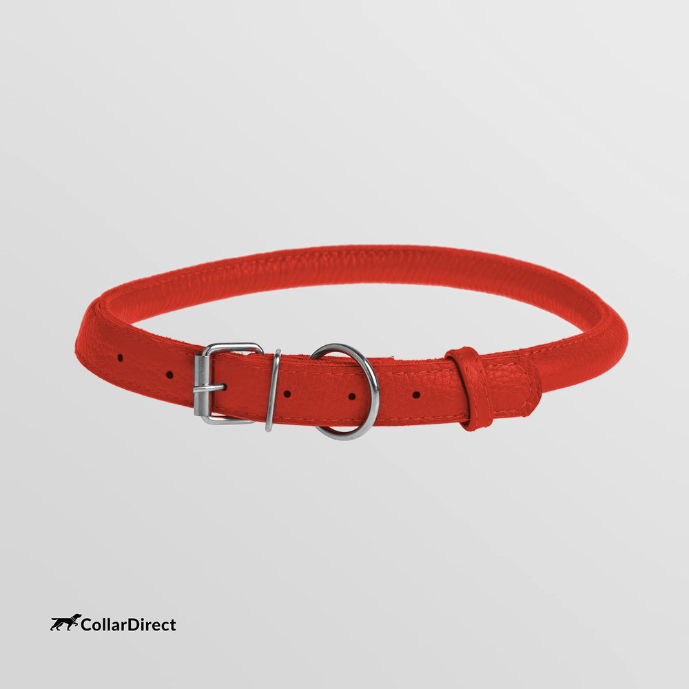CollarDirect color variety leather collar offers multiple playful options.